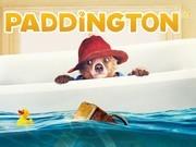 Ayı Paddington